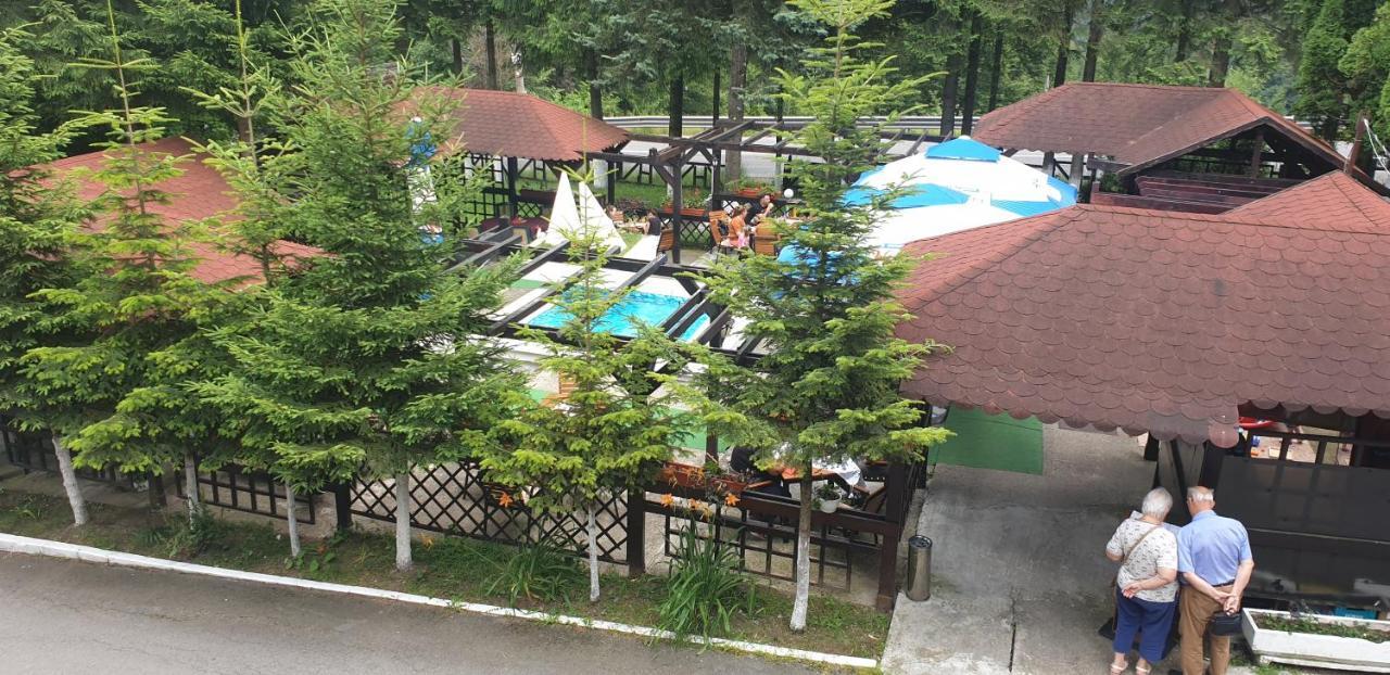 Hotel Bucegi Portile Regatului Paraul Rece Dış mekan fotoğraf