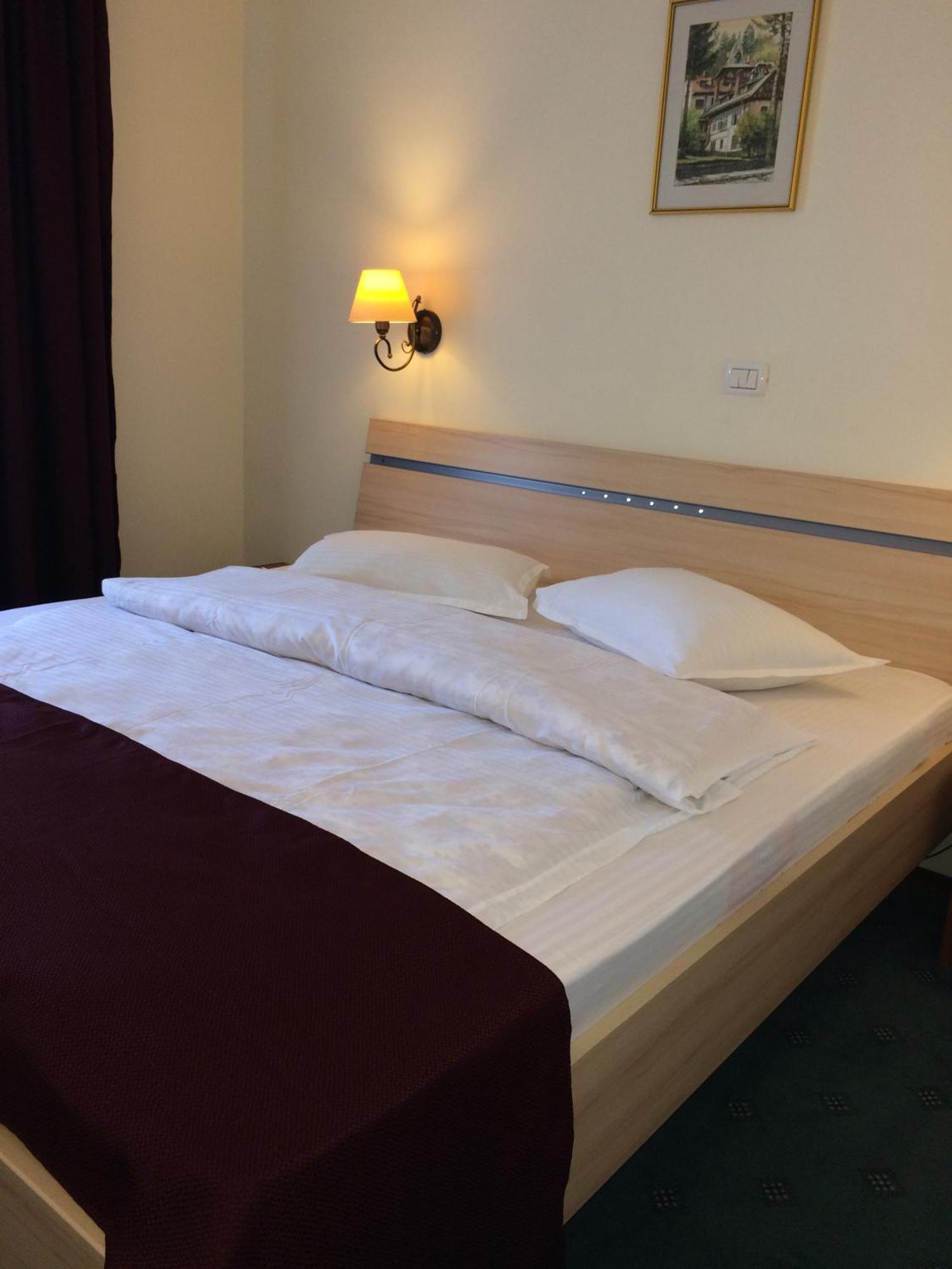 Hotel Bucegi Portile Regatului Paraul Rece Oda fotoğraf