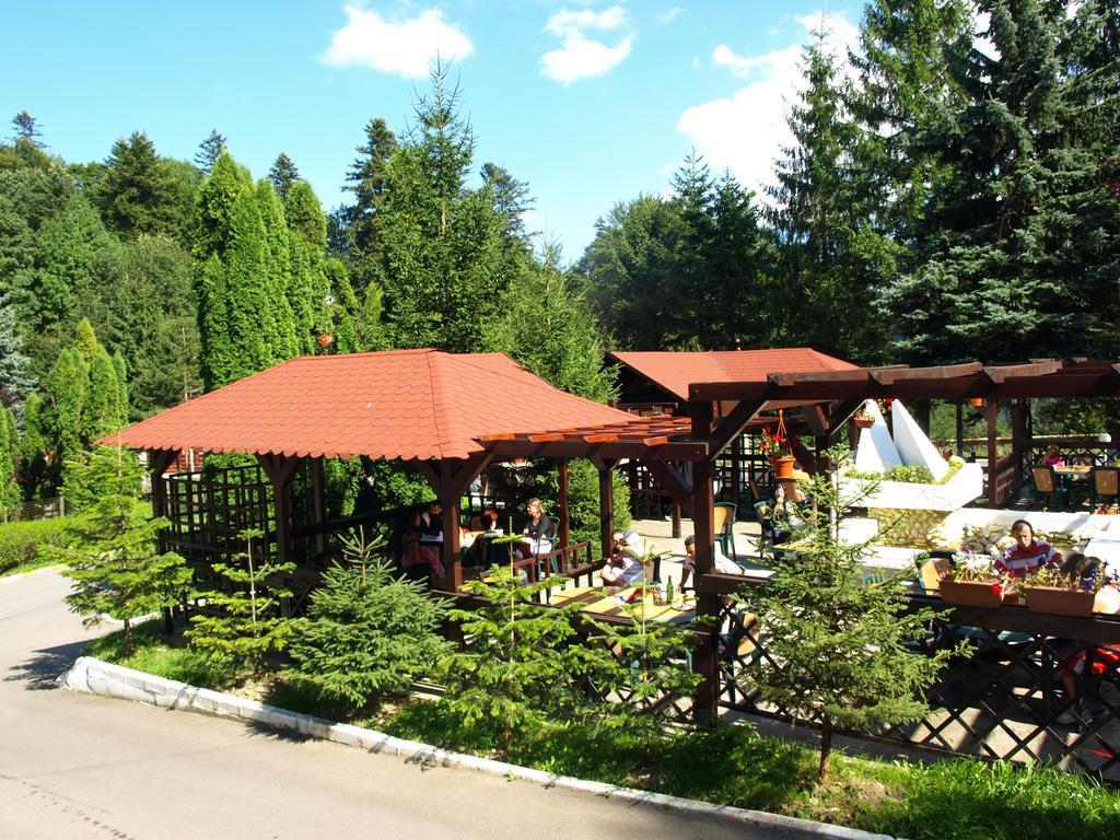 Hotel Bucegi Portile Regatului Paraul Rece Dış mekan fotoğraf