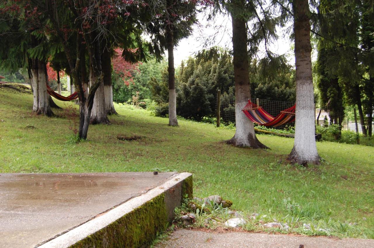 Hotel Bucegi Portile Regatului Paraul Rece Dış mekan fotoğraf